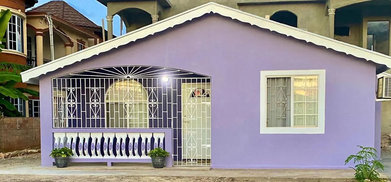 The Intimate Paradise Close To 876 Beach Falmouth 0*,  Jamajka